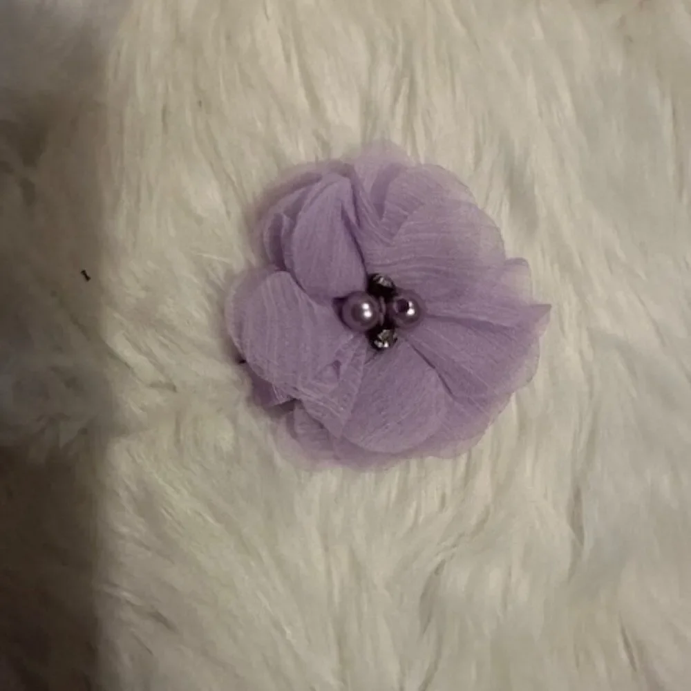 Lavender 2 1/2